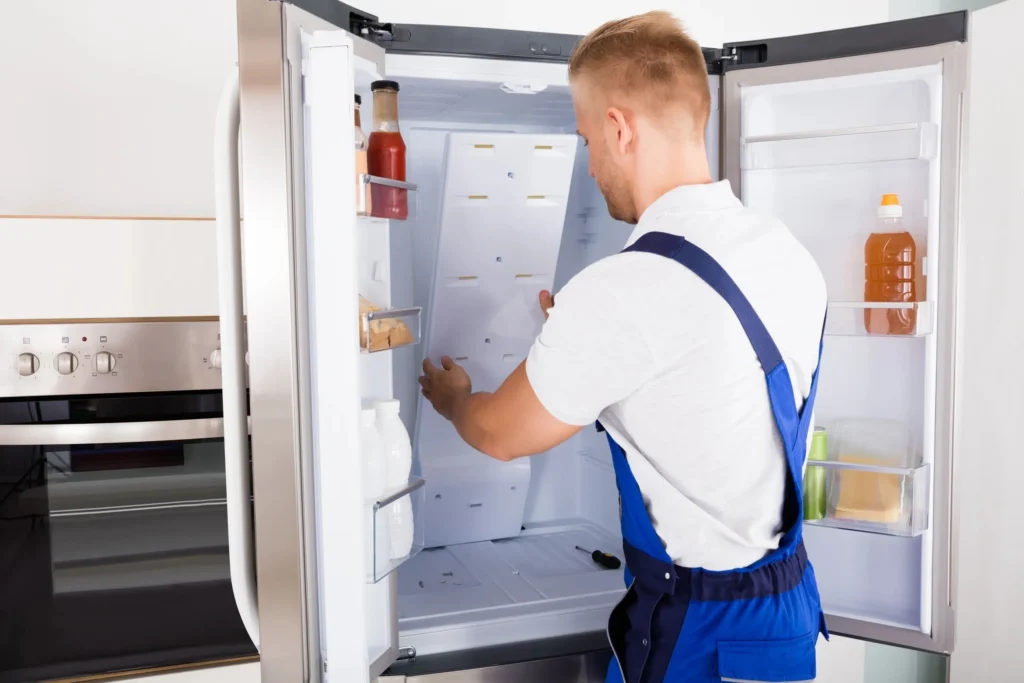 Appliance Repair in Kannapolis: 5 Services for Kitchen and Laundry Problems